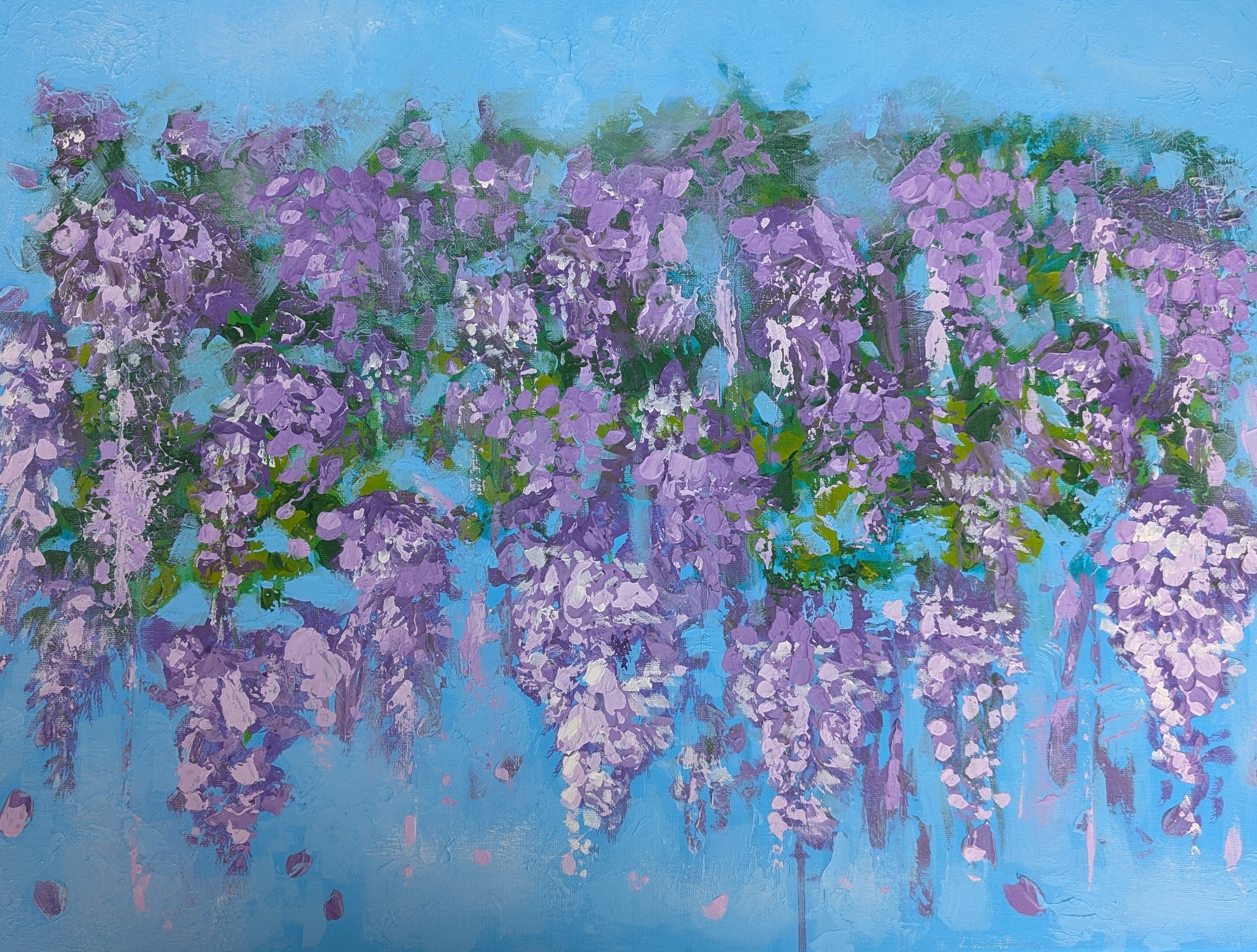 Wisteria